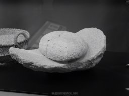 Ciudad de Elche 2022